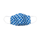 Pleated Mask