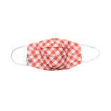 Pleated Mask
