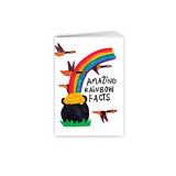Mini Storybook - Amazing Rainbow  Fact