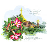 FLOWERS and PLANTS of Southeast Asia - Sketches and Paintings