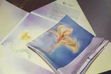 Asia Society Hong Kong Center x Shanghai Tang - Limited Edition Lalan Scarf