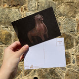 Mari-Cha Lion Postcard