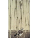Note Card-Bamboo and Bird by David Hu Wei