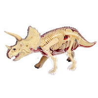 4D Vision Triceratops Anatomy Model