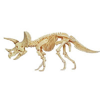 4D Vision Triceratops Anatomy Model