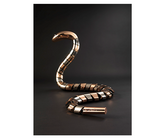 Snake (“She Wu” by Dennis Chan)